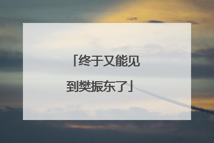 终于又能见到樊振东了